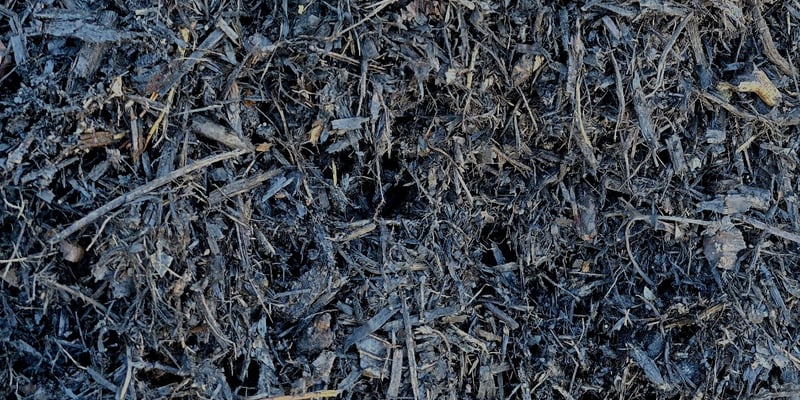 Black Forest Mulch