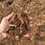Shredded Cedar Mulch