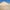 Screened Beach Sand