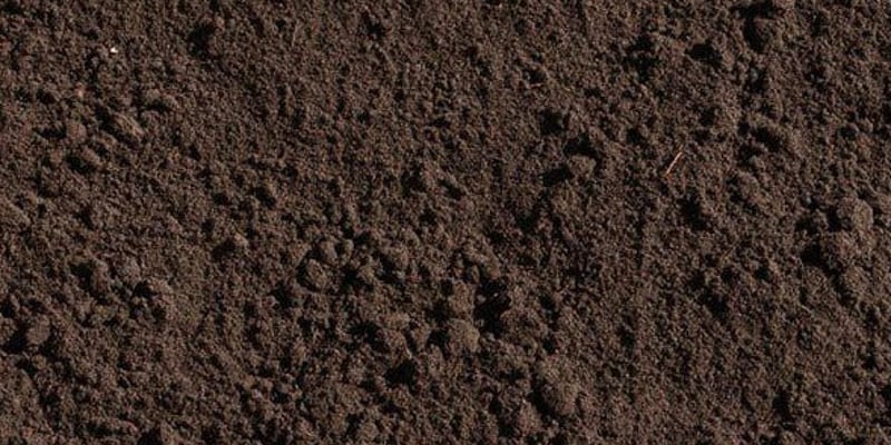 Topsoil