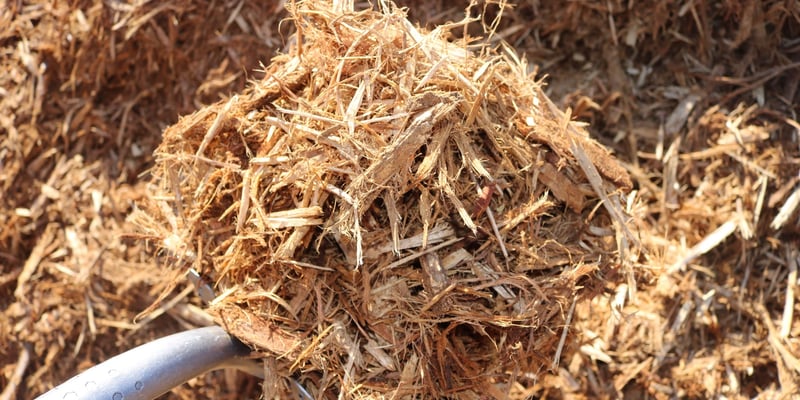 Single Shredded Hardwood
