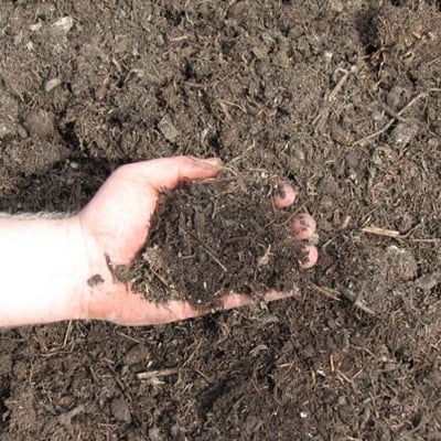 Mushroom Compost