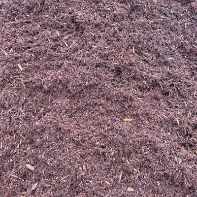 Hemlock Mulch