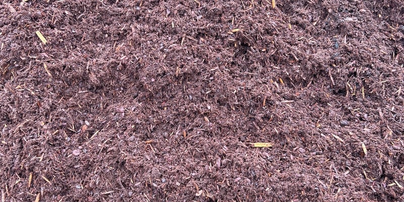 Hemlock Mulch