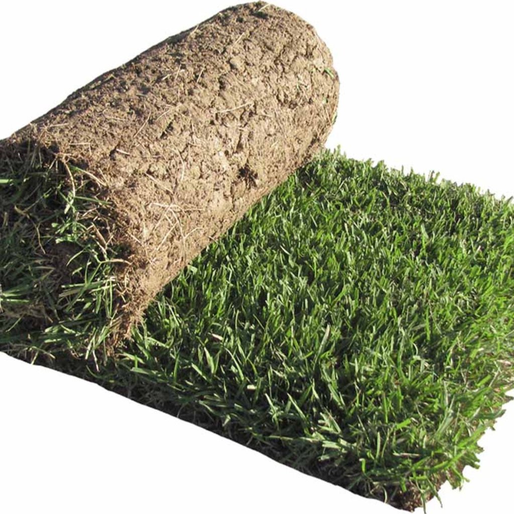 Grass Seed/ Sod