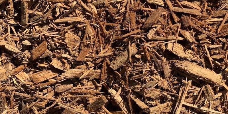 Natural Oak Chips