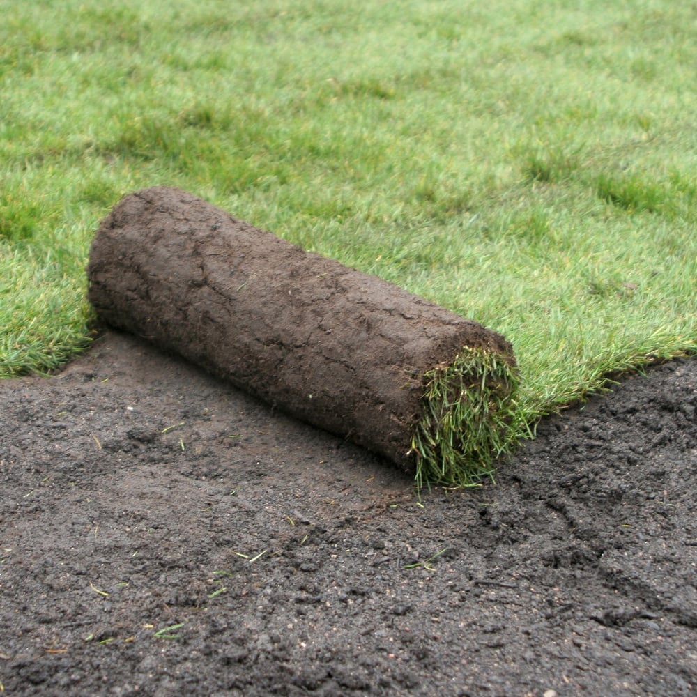 Kentuky Blue Grass Sod