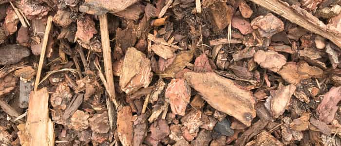 Bark texture image representing the wood bark category of Little Dumps products.