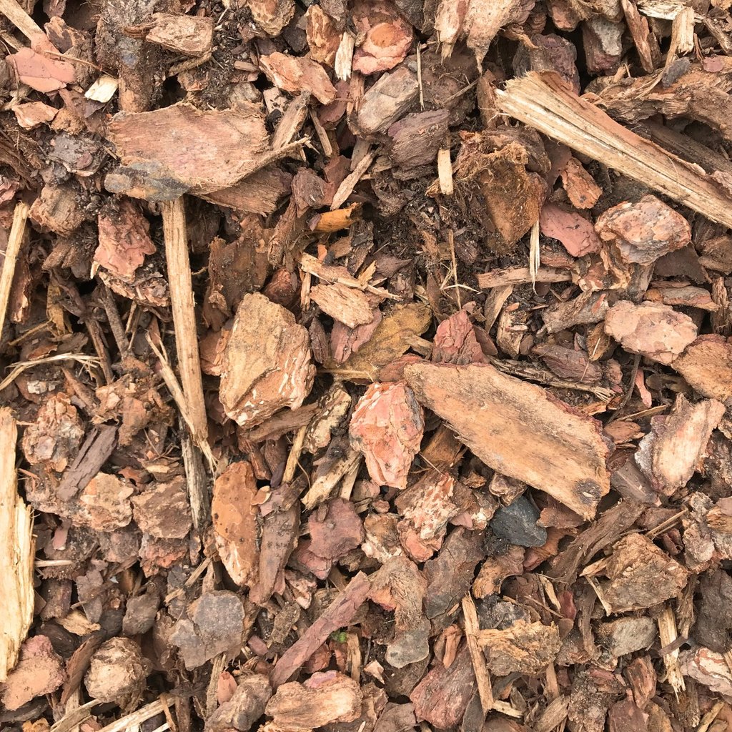 Overhead view of nugget fir bark showing its texture and medium size.