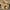 AL Thick Brown Rubble 5-8" (#12)