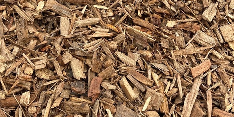 Cypress Playground Chips