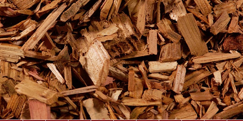 Cedar Playground Chips