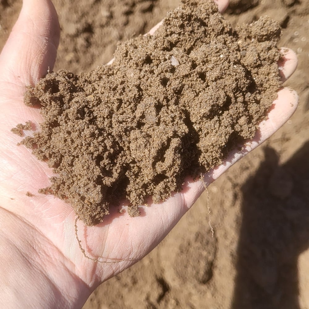Screened Topsoil