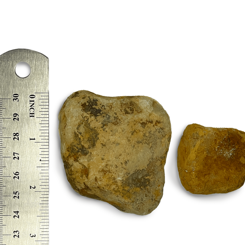 #4 Brown Medium River Rock