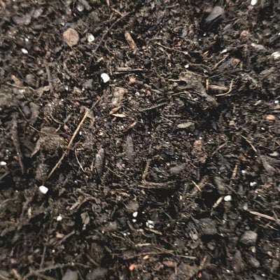Premium Potting Soil