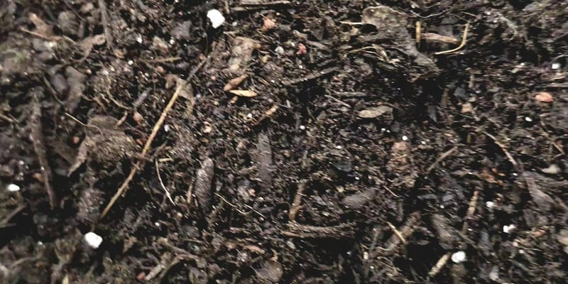 Premium Potting Soil