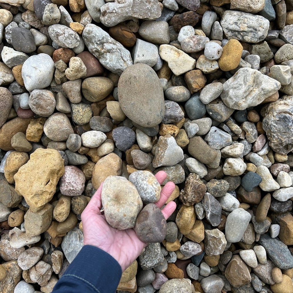 IOWA RAINBOW OVERSIZED