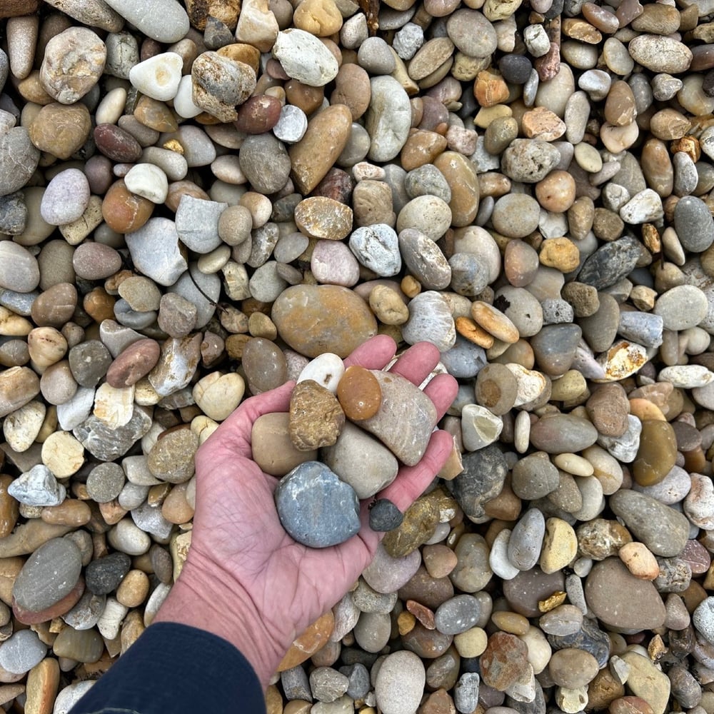 ALABAMA SUNSET OVERSIZED