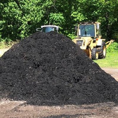 Ebony (Black) Mulch Image