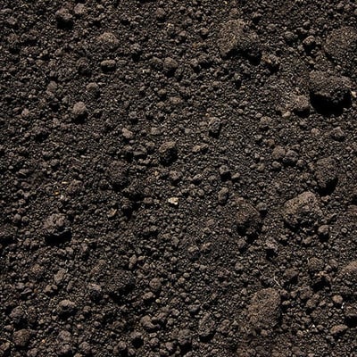 Soil, Black Dirt, Non Pulverized - Bulk Image