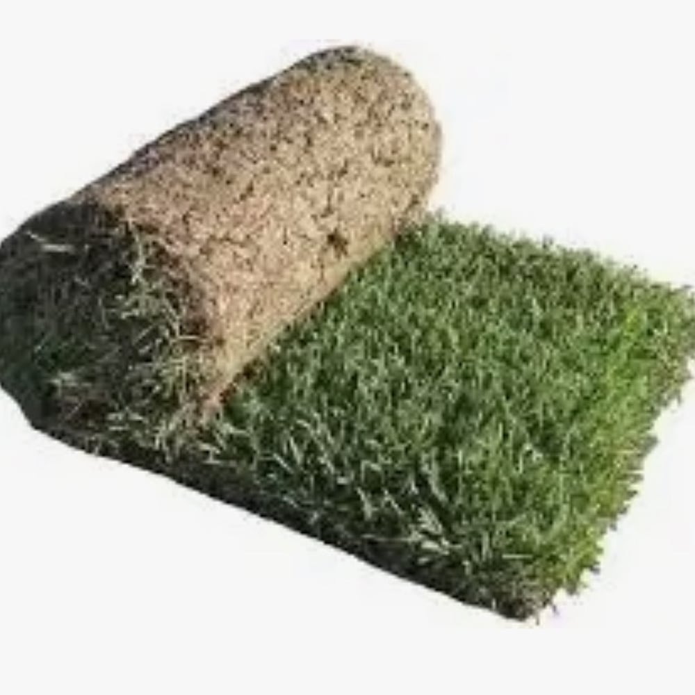 Fresh Cut Sod