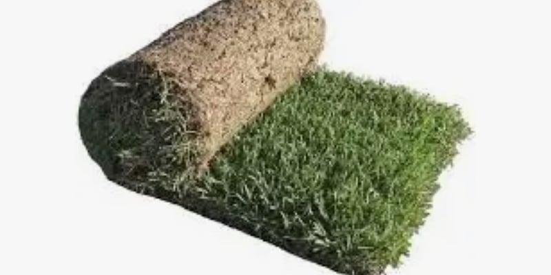 Fresh Cut Sod