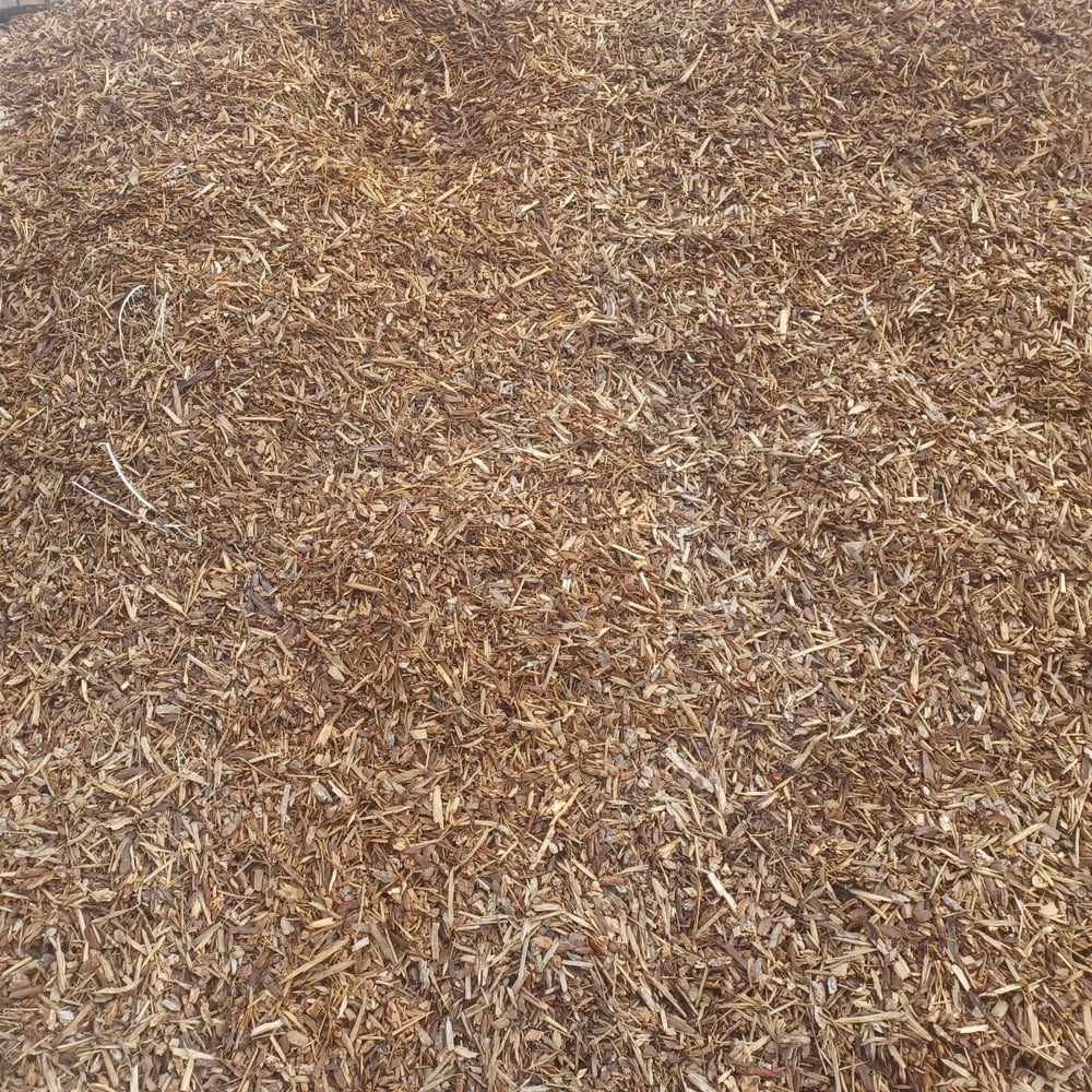 Supreme Walk on Bark