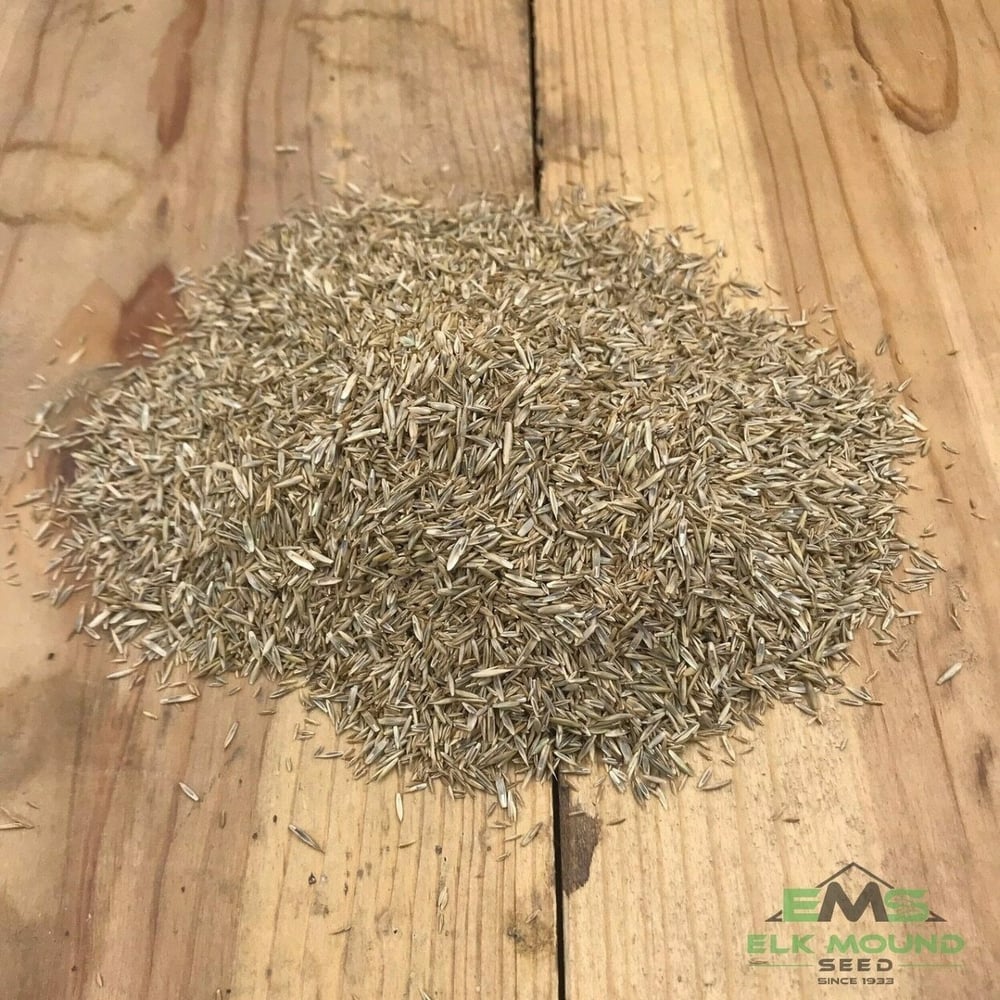 Grass Seed- Rapid Grow Mix