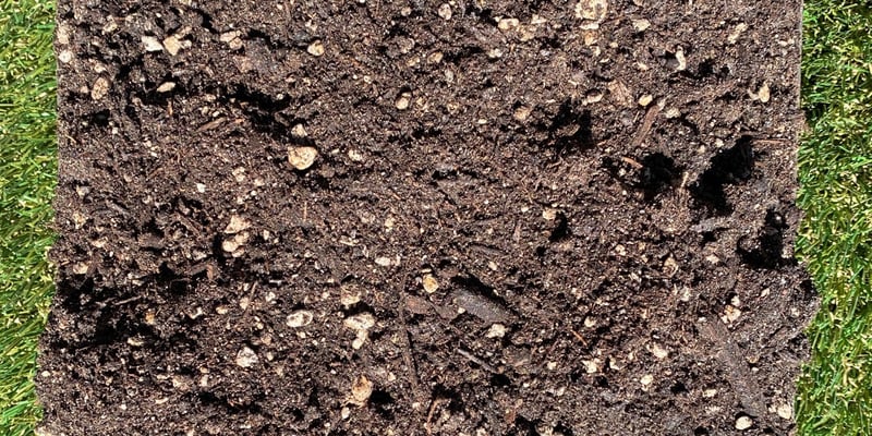 House Blend Potting Soil