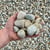 Round River Rock (1.5" Natural)