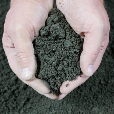 Screened Topsoil