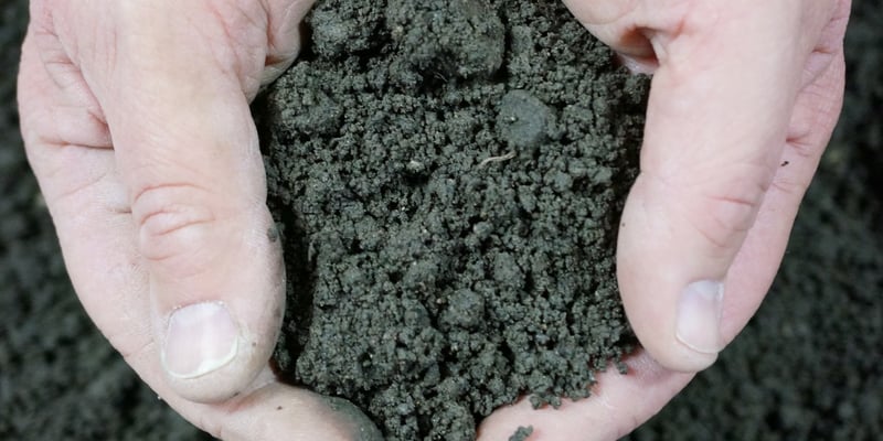 Screened Topsoil