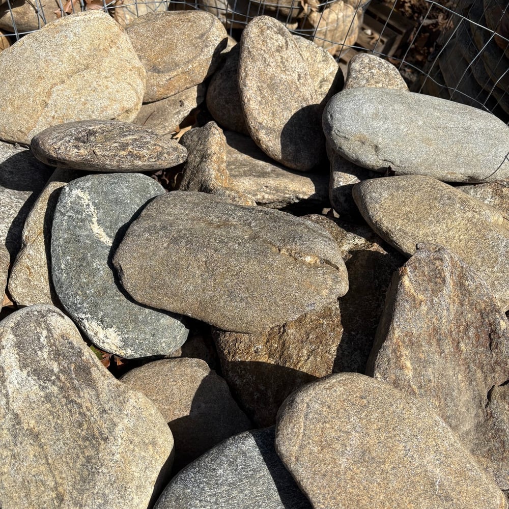 NC River Slicks (Medium)