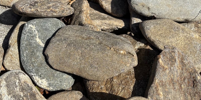 NC River Slicks (Medium)