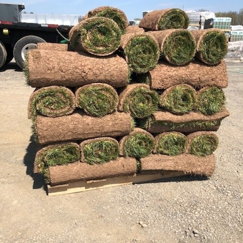 Fresh Cut Sod