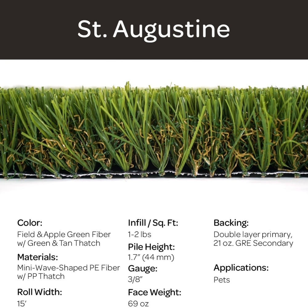 St. Augustine