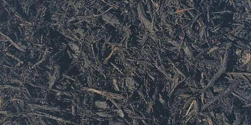 Black Forest Mulch