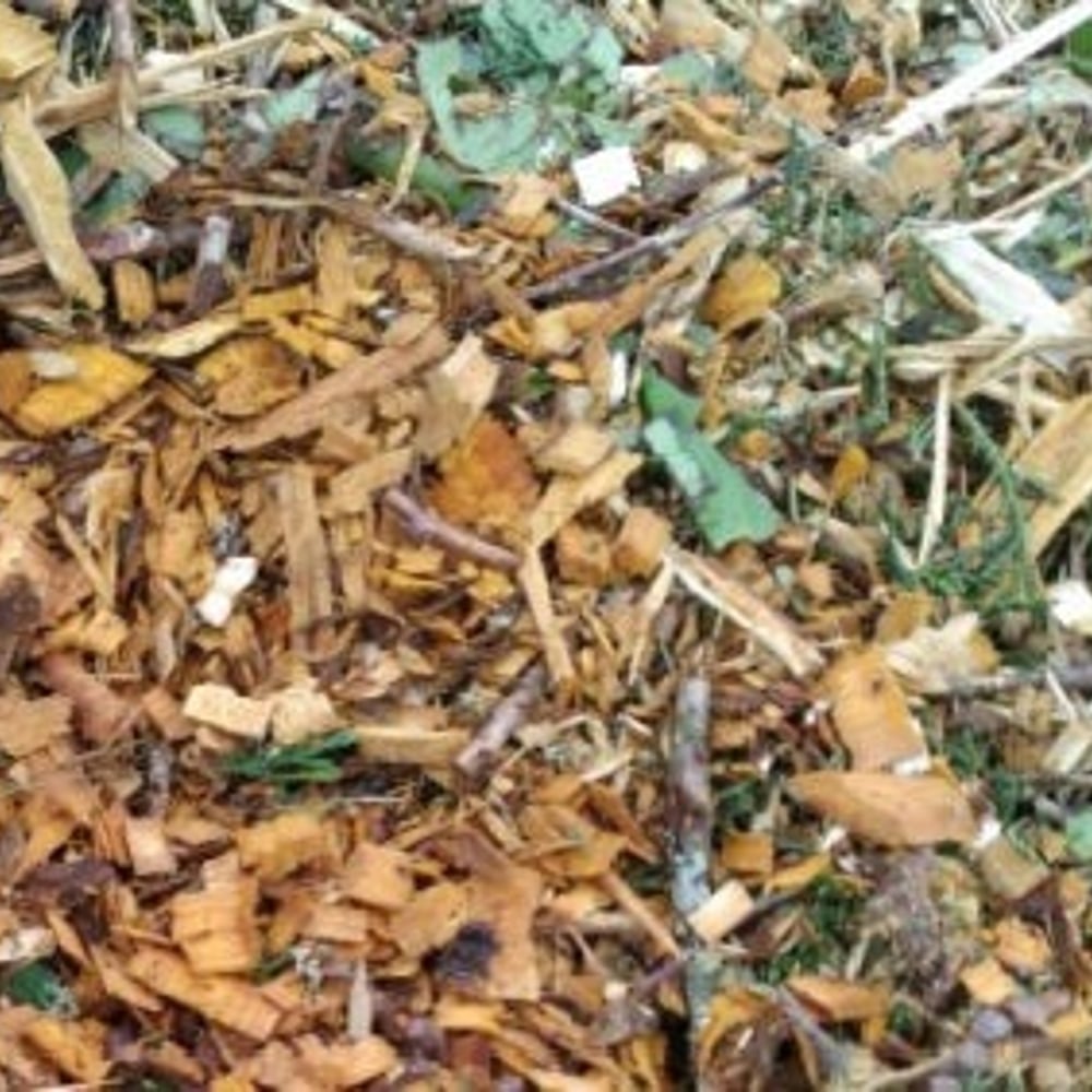Arborist Chips