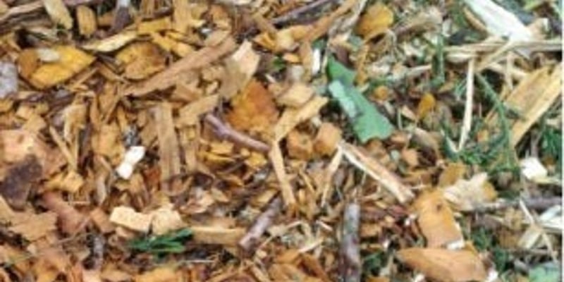 Arborist Chips