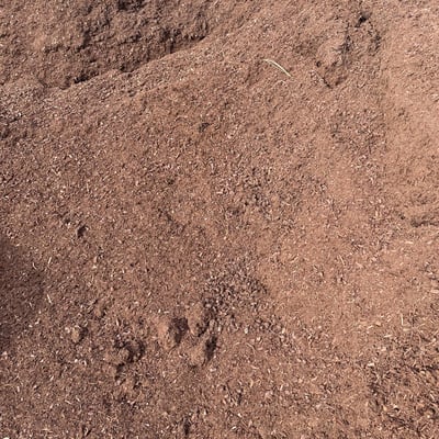 Dark Fines Bark Image