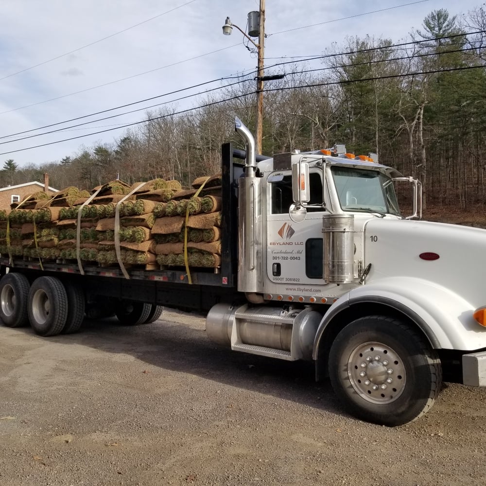 Fescue/Bluegrass Blend Sod