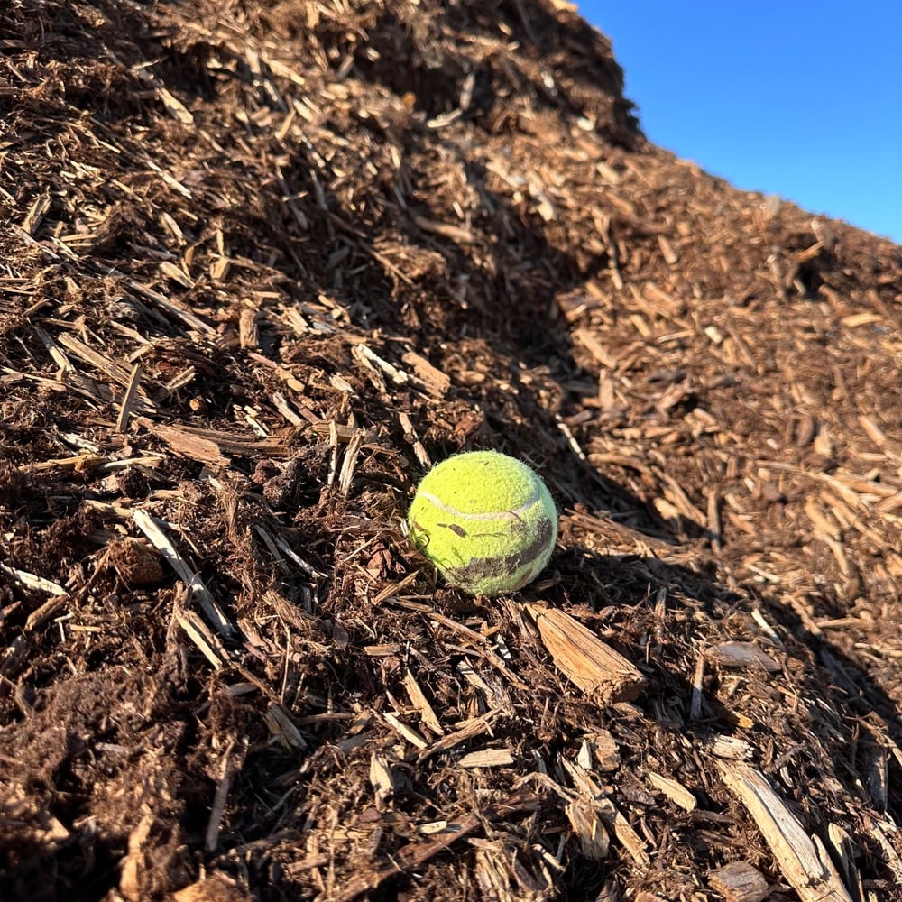 Shredded Western Cedar