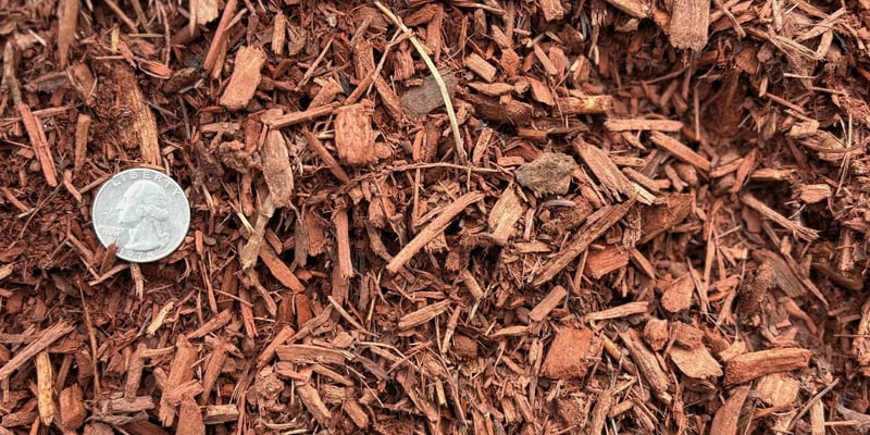 Cinnamon Mulch