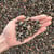 Overhead photo of wet Missoula Pea Gravel in the 3/8 inch size, ready for delivery. A hand is included for scale.