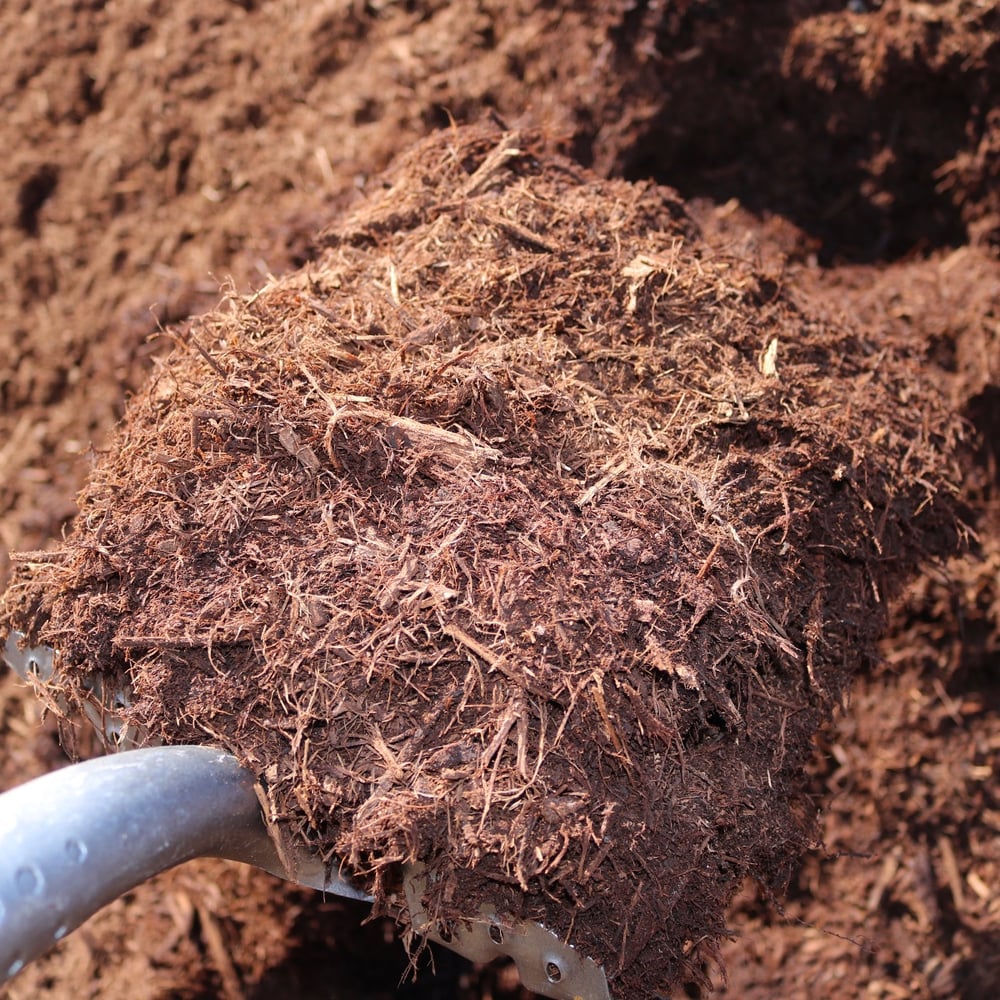 Triple Shredded Red Oak