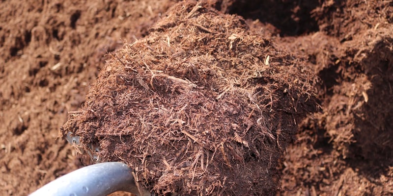 Triple Shredded Red Oak