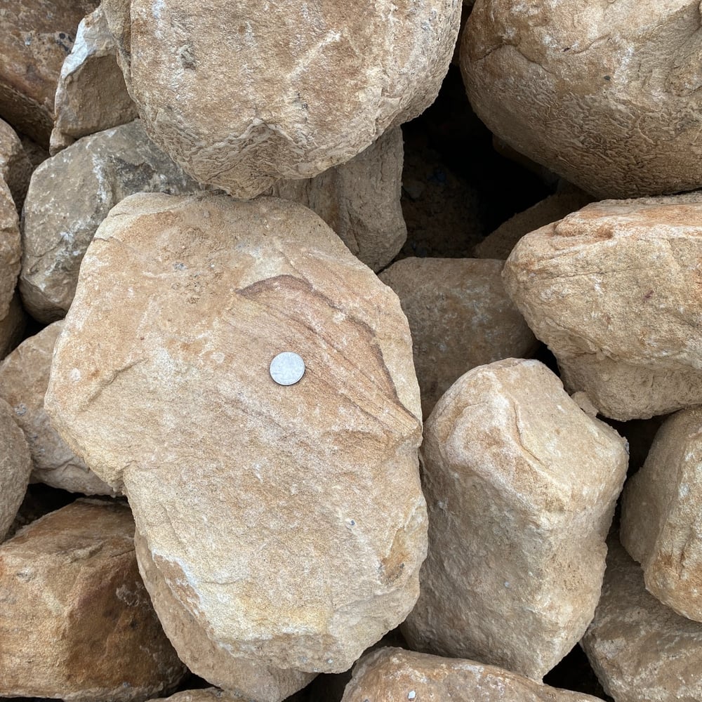 Landscape Large River Rounds 10" - 16"