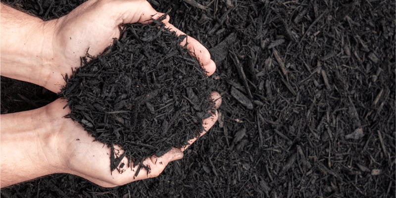 Ebony Bark Mulch
