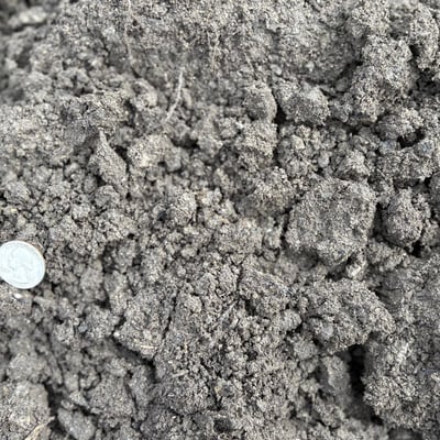50/50 Screened Loam Compost Blend Image