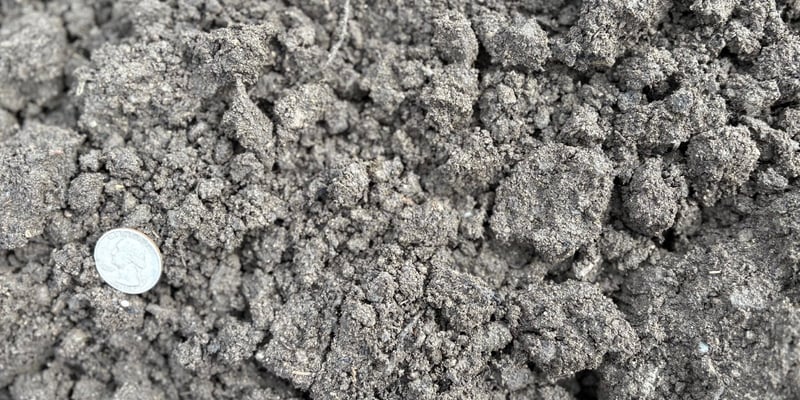 50/50 Screened Loam Compost Blend
